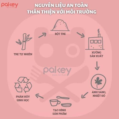 Set ăn dặm sợi tre 5 món A017 16 Khay chính được chia 2 ngăn có diện tích đựng lớn, tiện lợi cho mẹ chia đồ ăn cho các bé mà không cần sử dụng nhiều bát đĩa