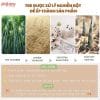 Set ăn dặm sợi tre 5 món A032 16 Sợi tre có tác dụng diệt khuẩn vì nó có thành phần chất diệp lục và đồng natri có tác dụng khử mùi tốt