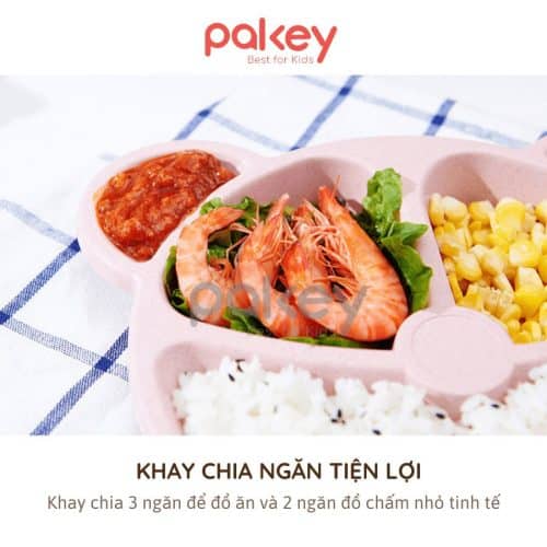 Set ăn dặm lúa mạch có thiết kế đẹp mắt và đa dạng hình dáng giúp bé tham gia vào bữa ăn với niềm vui và hứng thú đặc biệt