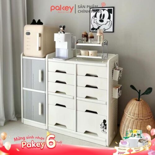 Avatar - Tủ kệ đa năng Pakey E005,006