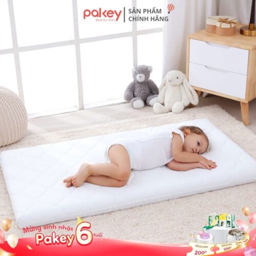 Avatar - Nệm xơ dừa cho bé Pakey dày 4cm