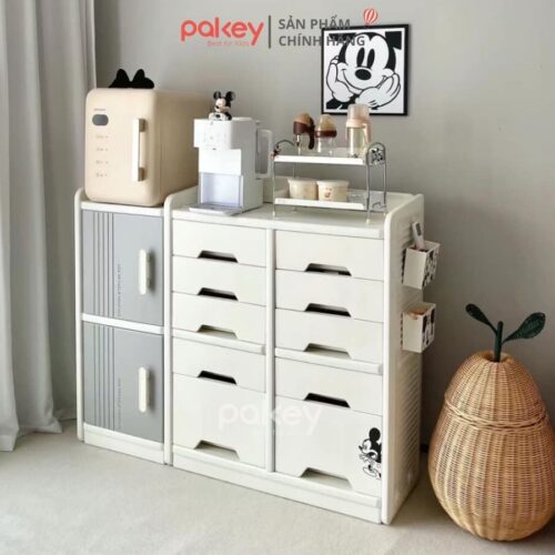Tủ kệ để đồ đa năng Pakey E005-E006