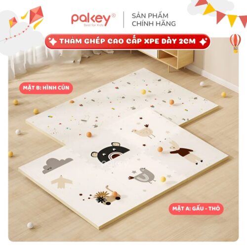 Set 6 tấm thảm xốp dày 2cm Pakey TG01-02-03 15 Tham ghep 15