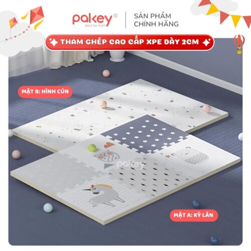 Set 6 tấm thảm xốp dày 2cm Pakey TG01-02-03 14 Tham ghep 16