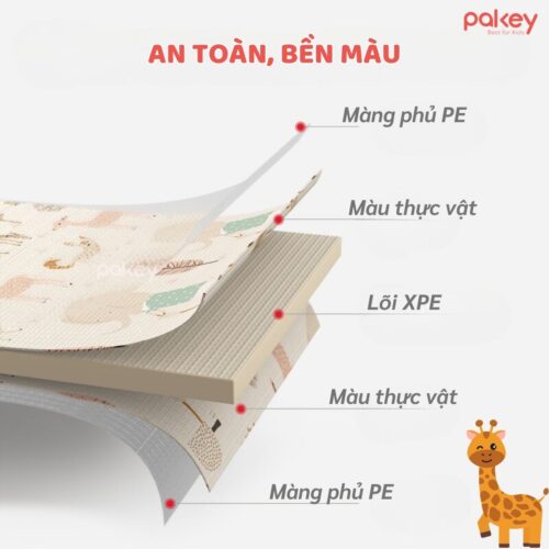 Set 6 tấm thảm xốp dày 2cm Pakey TG01-02-03 24 Tham ghep 3