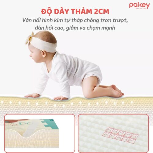 Set 6 tấm thảm xốp dày 2cm Pakey TG01-02-03 25 Tham ghep 4