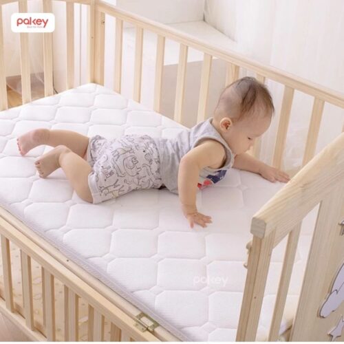Nệm xơ dừa Pakey dày 4cm 18 Nệm xơ dừa cho bé
