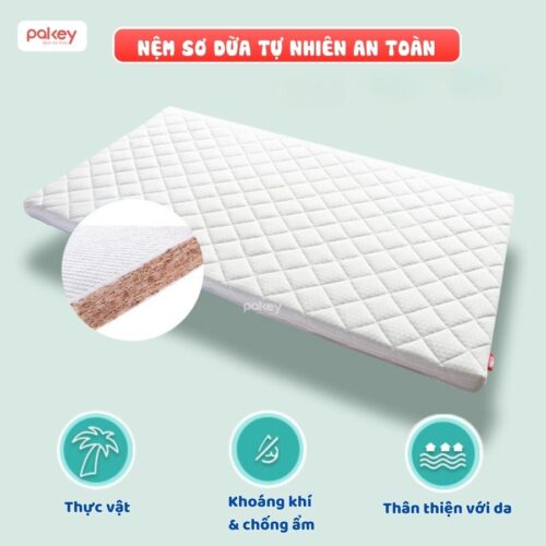Nệm xơ dừa Pakey dày 4cm 11 Nệm xơ dừa cho bé