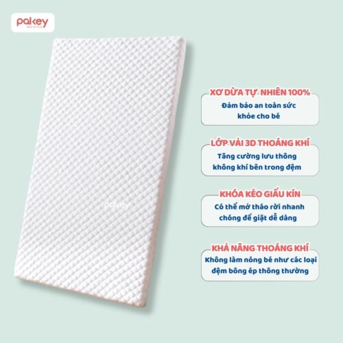 Nệm xơ dừa Pakey dày 4cm 12 Nệm xơ dừa cho bé