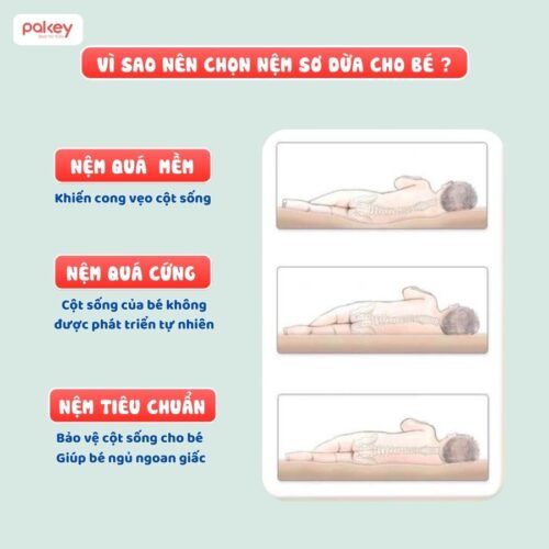 Nệm xơ dừa Pakey dày 4cm 13 Nệm xơ dừa cho bé