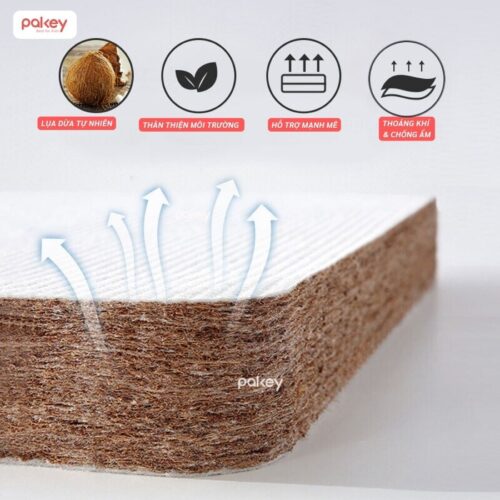 Nệm xơ dừa Pakey dày 4cm 16 Nệm xơ dừa cho bé