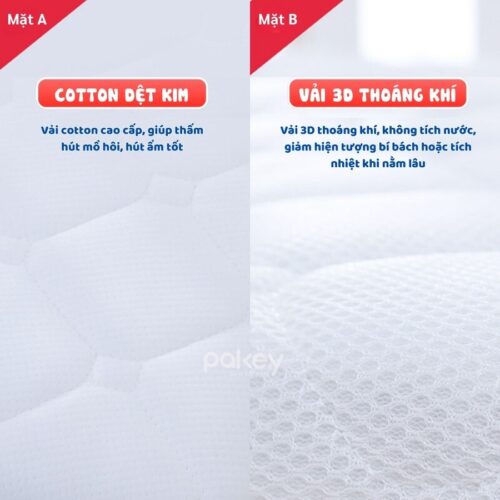 Nệm xơ dừa Pakey dày 4cm 15 Nệm xơ dừa cho bé