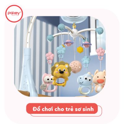 Trang chủ 44 danh muc san pham 20