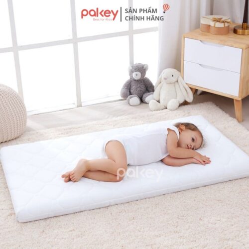 Nệm xơ dừa Pakey dày 4cm