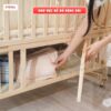 Nôi cũi gỗ đa năng 6in1 Pakey CG02 33 Nôi cũi gỗ đa năng cho bé Pakey CG02
