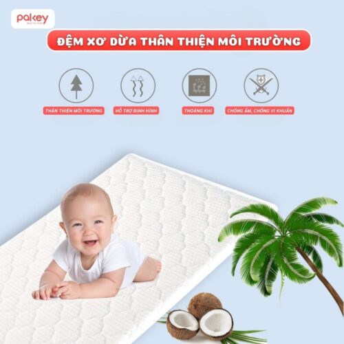 Nôi cũi gỗ cho bé kèm màn chùm Pakey CG01 21 Nô cũi đa năng cho bé Pakey CG01