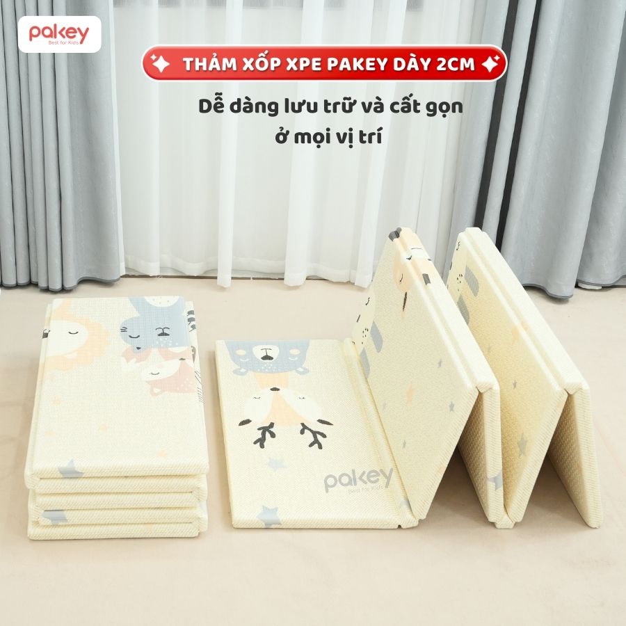 Thảm xốp XPE dày 2cm Pakey TH04-TH05