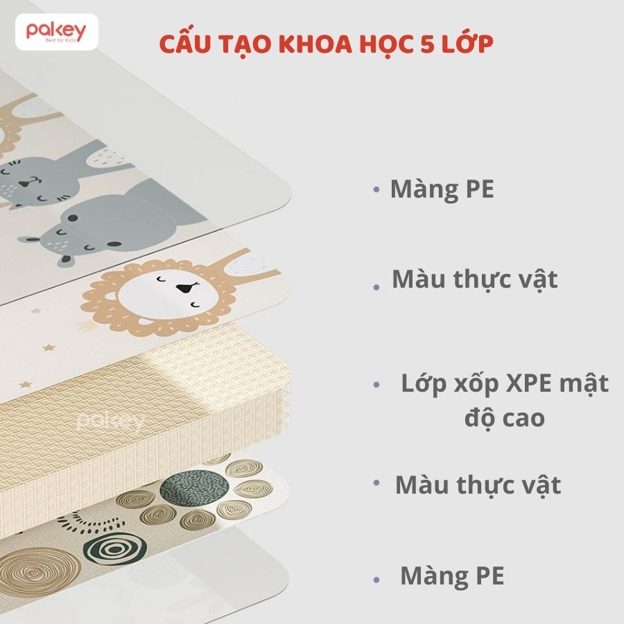Thảm xốp XPE dày 2cm Pakey TH04-TH05