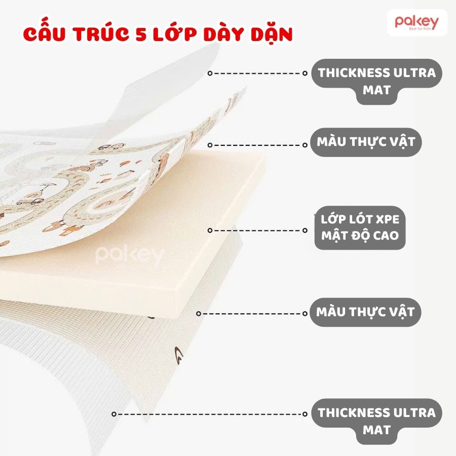 Thảm cuộn TC01,02,03,04,07