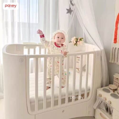 Nêm xơ dừa Pakey dày 5cm