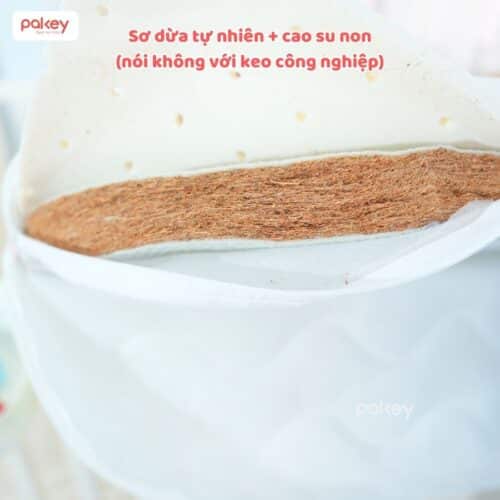 Nêm xơ dừa Pakey dày 5cm