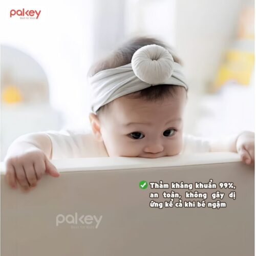Thảm da PU dày 4cm Pakey TD01-TD02 24 Thảm da PU dày 4cm Pakey TD01-TD02