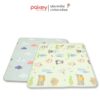 Thảm xốp Pakey 2 mặt dày 1cm