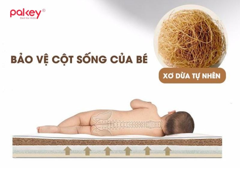 Xơ dừa có cấu trúc cứng hơn so với mút hay cao su, giúp nâng đỡ cột sống, đặc biệt phù hợp với trẻ sơ sinh và trẻ nhỏ đang trong giai đoạn phát triển hệ xương