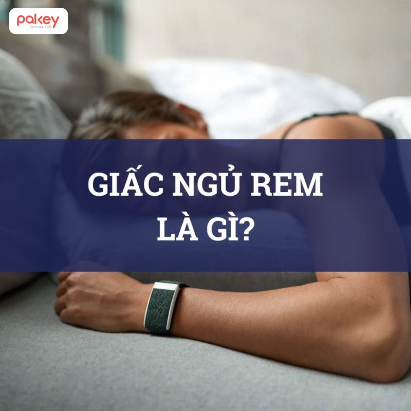 Giấc ngủ REM là gì? Những điều cần biết về giấc ngủ REM