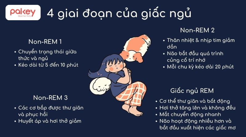 REM là từ viết tắt của cụm tiếng Anh Rapid Eye Movement, nghĩa là chuyển động mắt nhanh