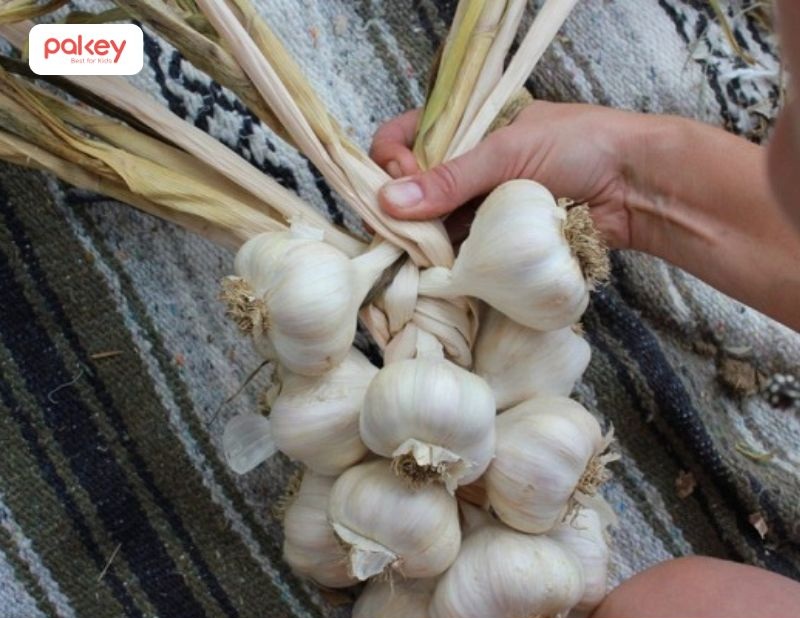 Treo tỏi ở đầu giường của bé giúp trừ tà, xua tan khí xấu