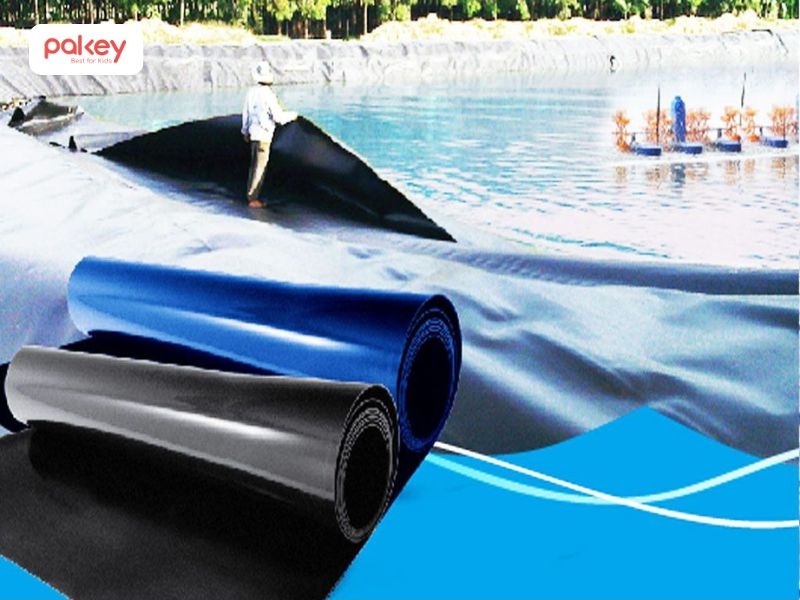 Bạt HDPE được sử dụng để lót hồ nuôi tôm