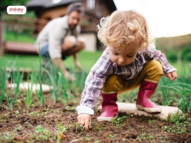 13 kỹ năng an toàn cho bé giúp phòng tránh tai nạn