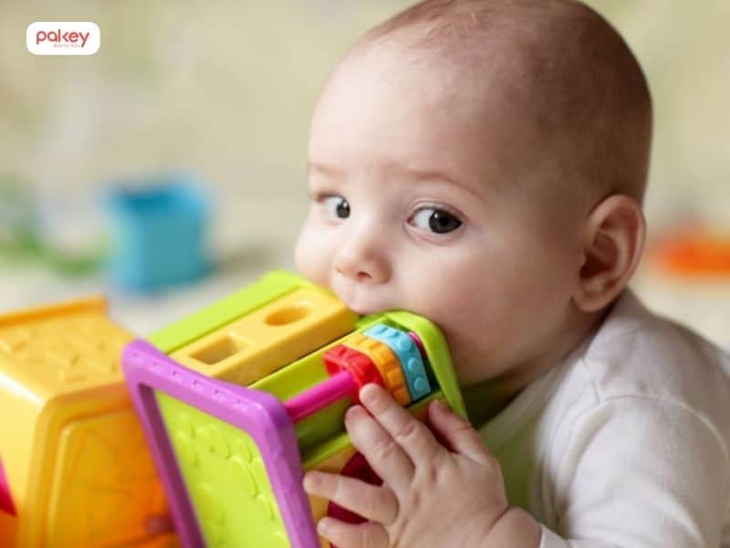 [Nhựa an toàn cho bé] Cách nhận biết và hướng dẫn lựa chọn