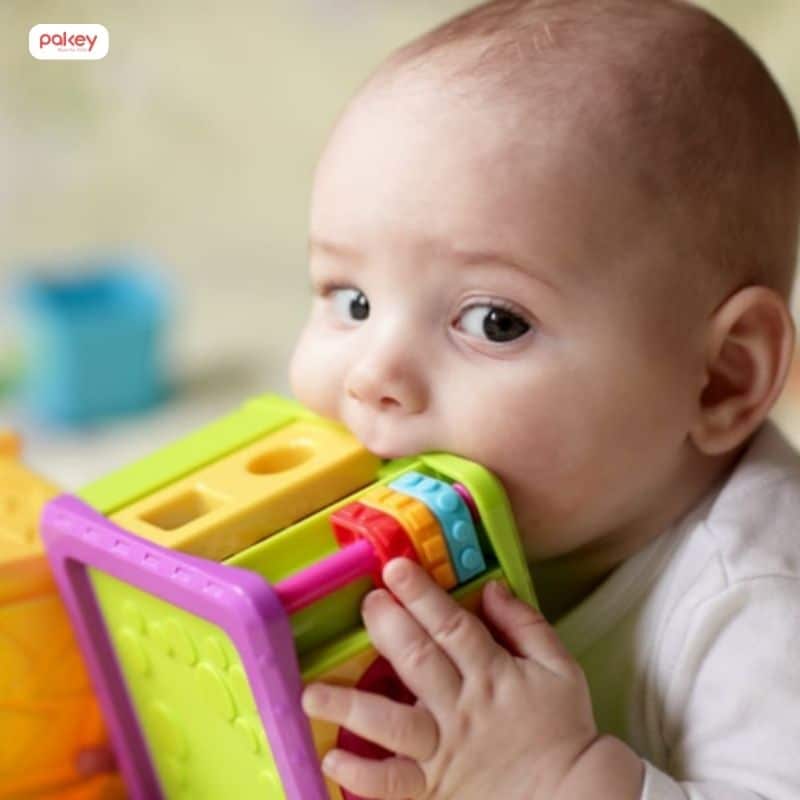 [Nhựa an toàn cho bé] Cách nhận biết và hướng dẫn lựa chọn