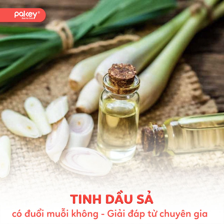 [Giải đáp từ chuyên gia] Tinh dầu sả có đuổi muỗi không?