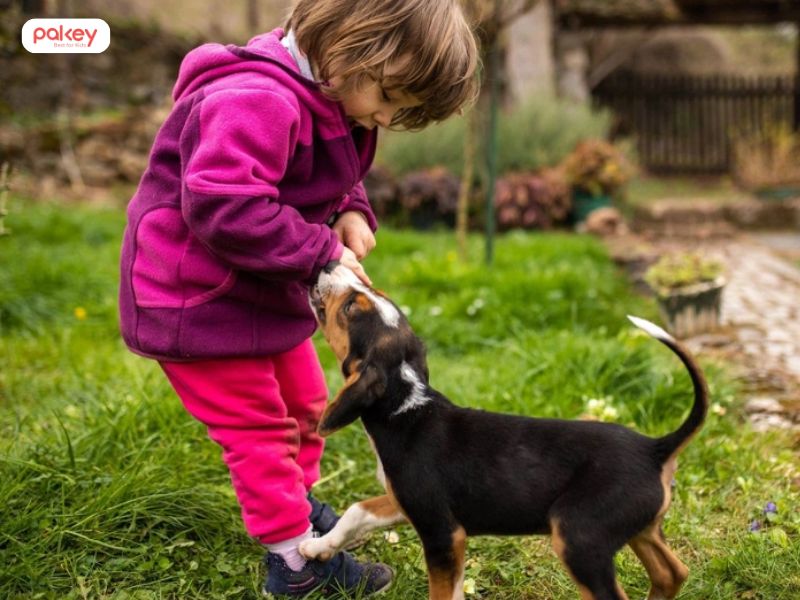 Tổng hợp các tai nạn thương tích thường gặp ở trẻ em