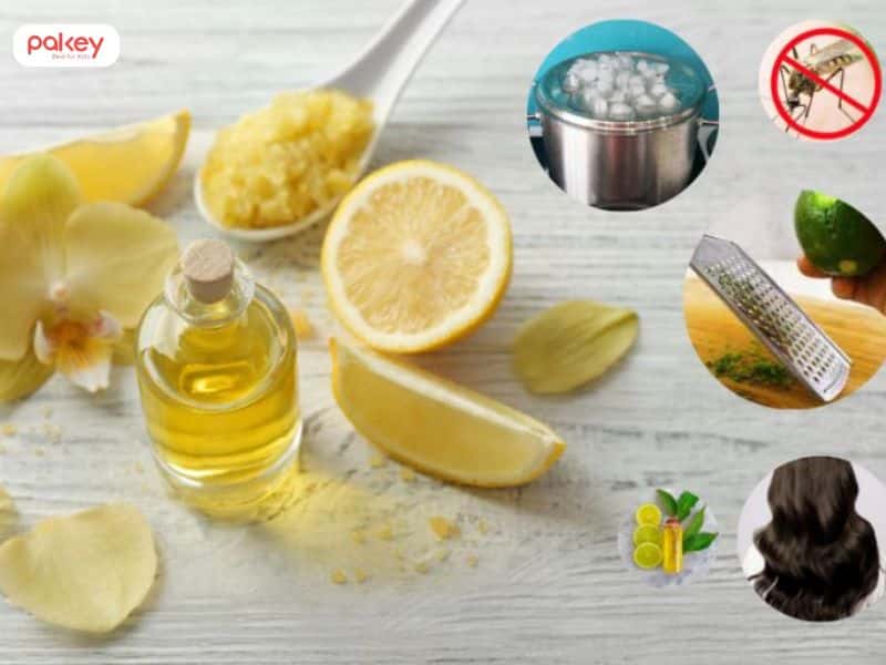 Mách bạn 6 cách làm tinh dầu đuổi muỗi cho bé an toàn tại nhà