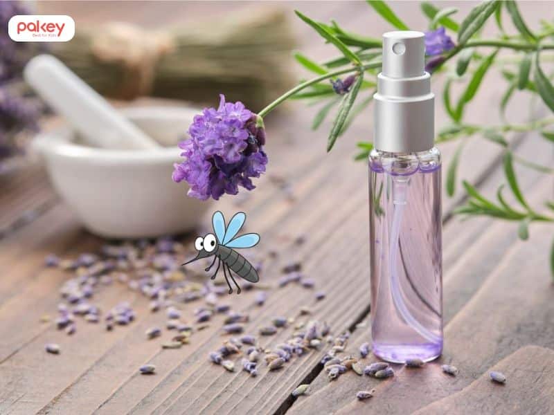 Mách bạn 6 cách làm tinh dầu đuổi muỗi cho bé an toàn tại nhà