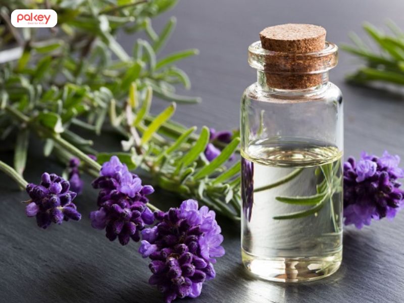 [Giải đáp] Dùng tinh dầu đuổi muỗi có hại không?