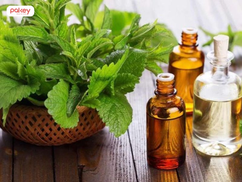 [Giải đáp] Dùng tinh dầu đuổi muỗi có hại không?