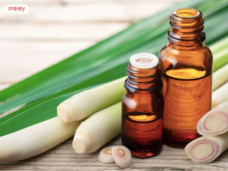 [Giải đáp từ chuyên gia] Tinh dầu sả có đuổi muỗi không?