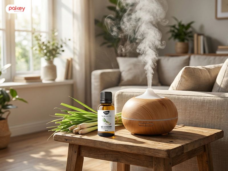 [Giải đáp từ chuyên gia] Tinh dầu sả có đuổi muỗi không?