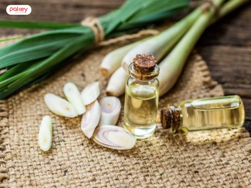 [Giải đáp từ chuyên gia] Tinh dầu sả có đuổi muỗi không?