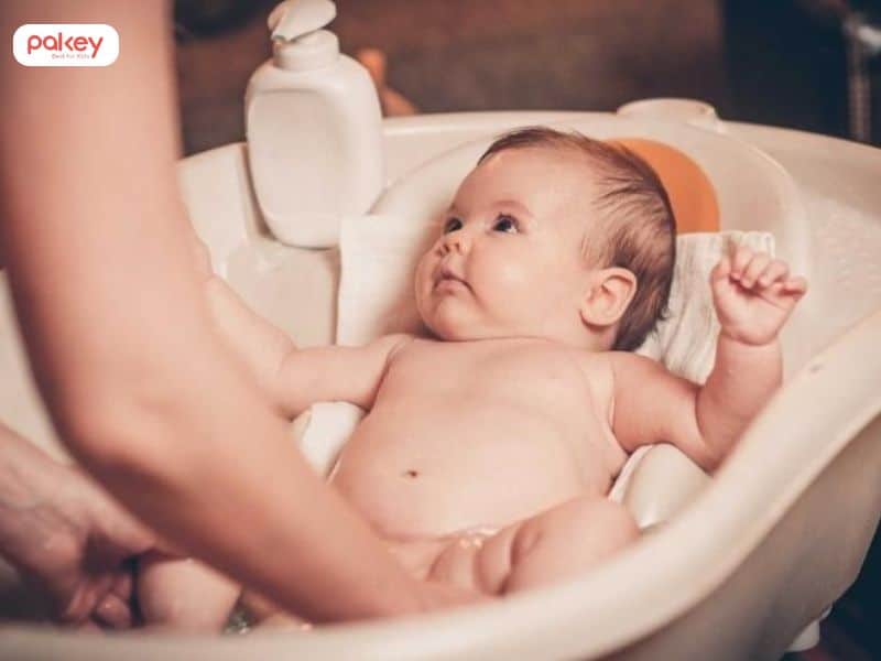 Tinh dầu tràm có tác dụng đuổi muỗi không? Lưu ý khi sử dụng