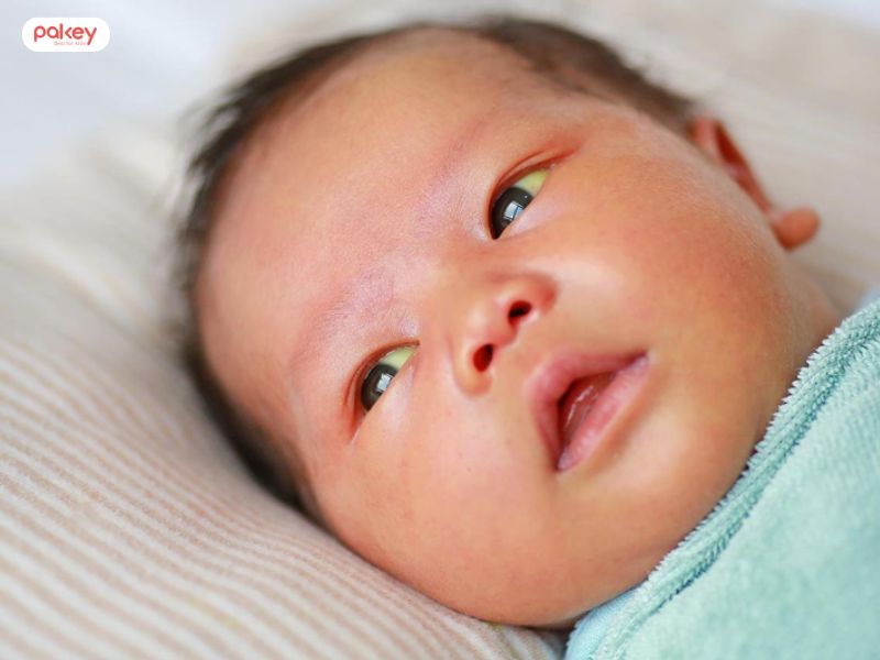 Tại sao trẻ sơ sinh ngủ nhiều không bú? Có nguy hiểm không? 9 Tại sao trẻ sơ sinh ngủ nhiều không bú? Có nguy hiểm không?