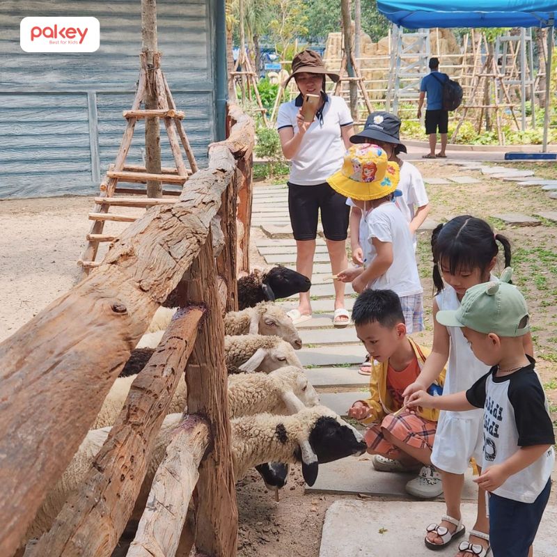 Không để con trẻ nằm ngoài tầm mắt và thậm chí là tầm tay của ba mẹ