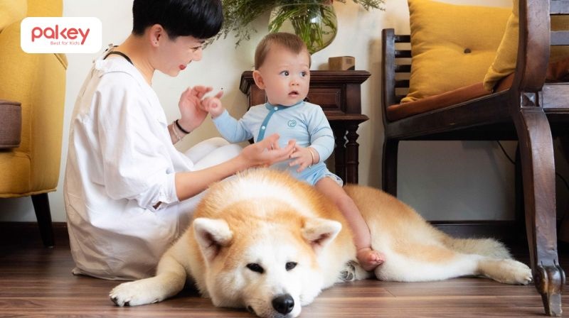 Không nên để trẻ nhỏ, đặc biệt là trẻ dưới 3 tuổi tiếp xúc quá gần với vật nuôi