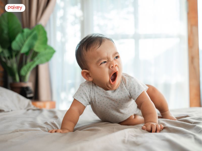 Cố định giờ ngủ mỗi ngày