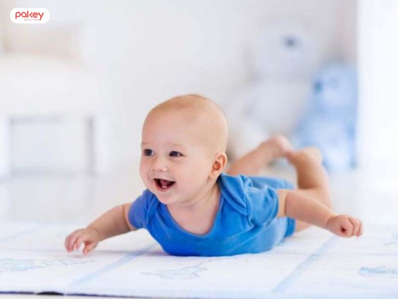 Tăng cường hoạt động vào ban ngày